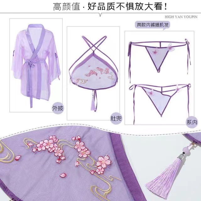 Hanfu-Inspired Sheer Mesh Lingerie Set with Embroidered Robe, Halter Top, Panties and Belt — detail image 2