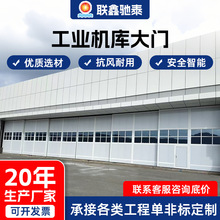 �����C���T�w�C����T����늄�ƽ�ƹ��I�C���T����ƽ�_�T�C���T