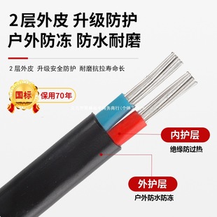 National Standard 2-Core Aluminum Core Household Outdoor Cable Wire 4 6 10 16 25 Square Double-Core Aluminum Wire Sheathed Wire