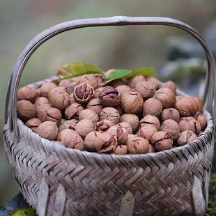 25��؛�R���ք�Сɽ�������ͽ��}ԭζ̿�����b����500g/250g���l