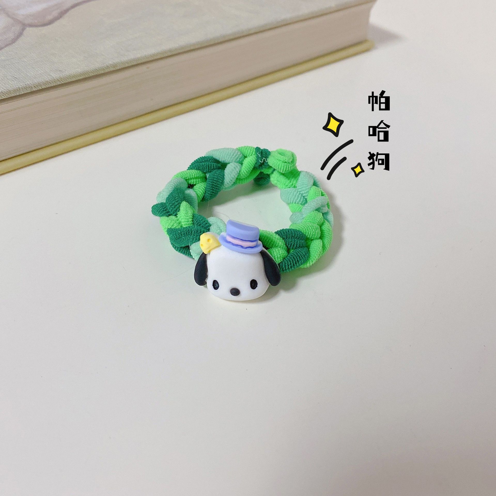 파차 개 짠 완성