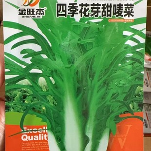 �ļ���ѿ�����˻��~������������ԏV�� �߲˷N�� �̨�N������