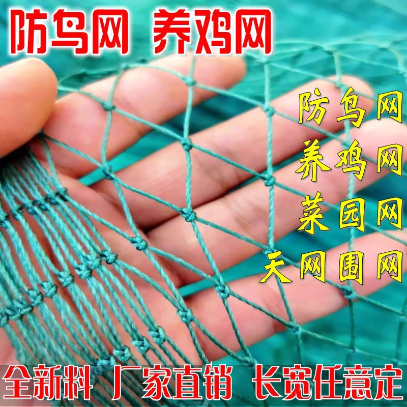 米家禽养鸡网拦鸡网养殖网菜园网护栏网围山鸡网防鸡网尼龙网