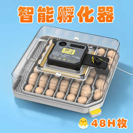跨境自动小型智能家用控湿多功能双电源宠物孵蛋器孵化器养殖设备