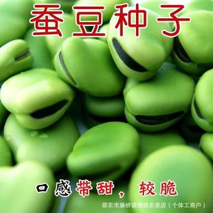 �Q���N�ӱ��������ش�߮a�_�h���N�Ѵ��ﶬ�����N�����ͺ�������