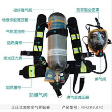 RHZKF6.8L/30����ʽ�՚��������yʽ9��̼�w�Sƿ���ֿպ��z�y��