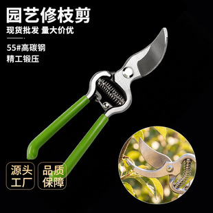������֦��@�ּ���֦���ü����@ˇ�������޼����ߵ�ʡ������֦