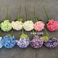 ��֧�����ǽ�����滨��Y���bٻ���c��·����׼ҾӔ[��