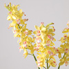 Realistic table decorations indoor, orchid