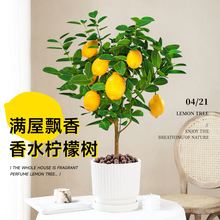 ˮʘԎl؛ʳ̨҃ȿ͏d;Gֲļʘ