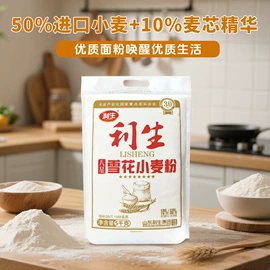 面粉;待煮面条;方便面类