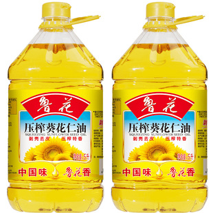 ������������5L*2Ͱ  ������l؛