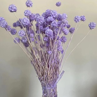 ���W�L���^�L܇�����x���������ɻ�ins�Ҿ��b�diy��ˇ�廨���