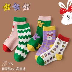 Children's socks for spring and autumn, crew length, for girls and boys, cotton socks, princess style, for older children, trendy, inspired by Instagram and Korean fashion.