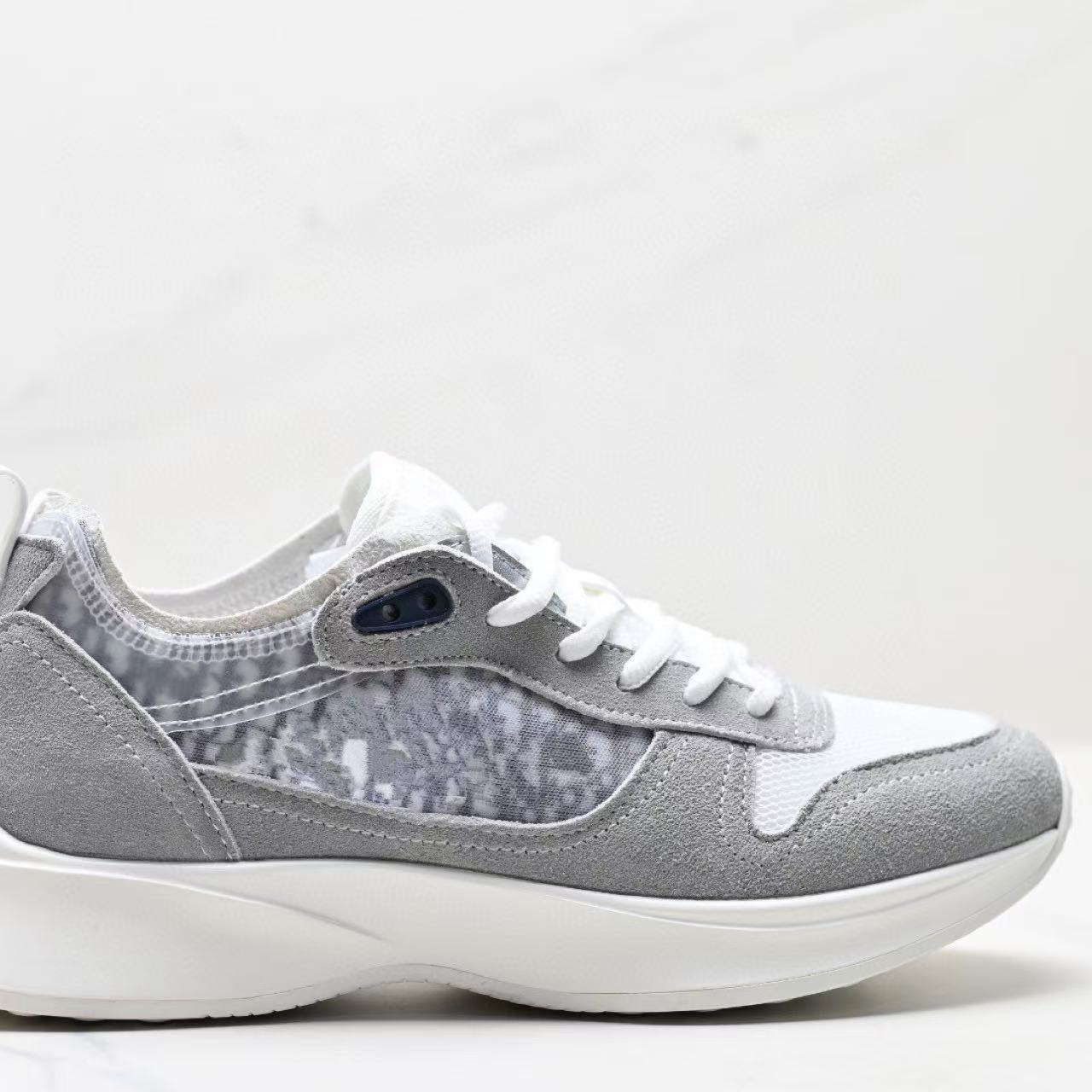 Dior B25 Low Grey Dior Oblique