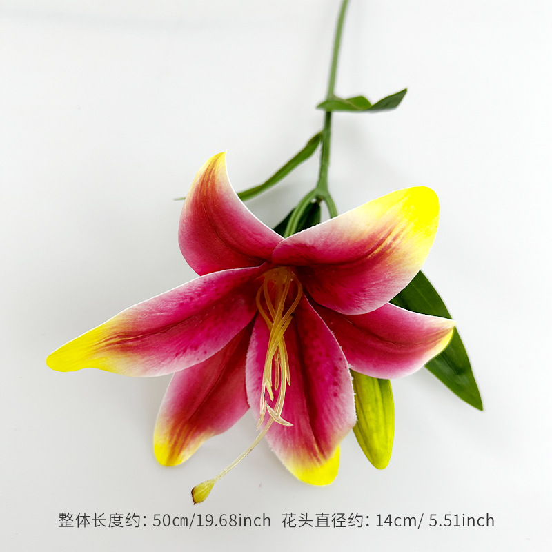 황변 로즈 핑크