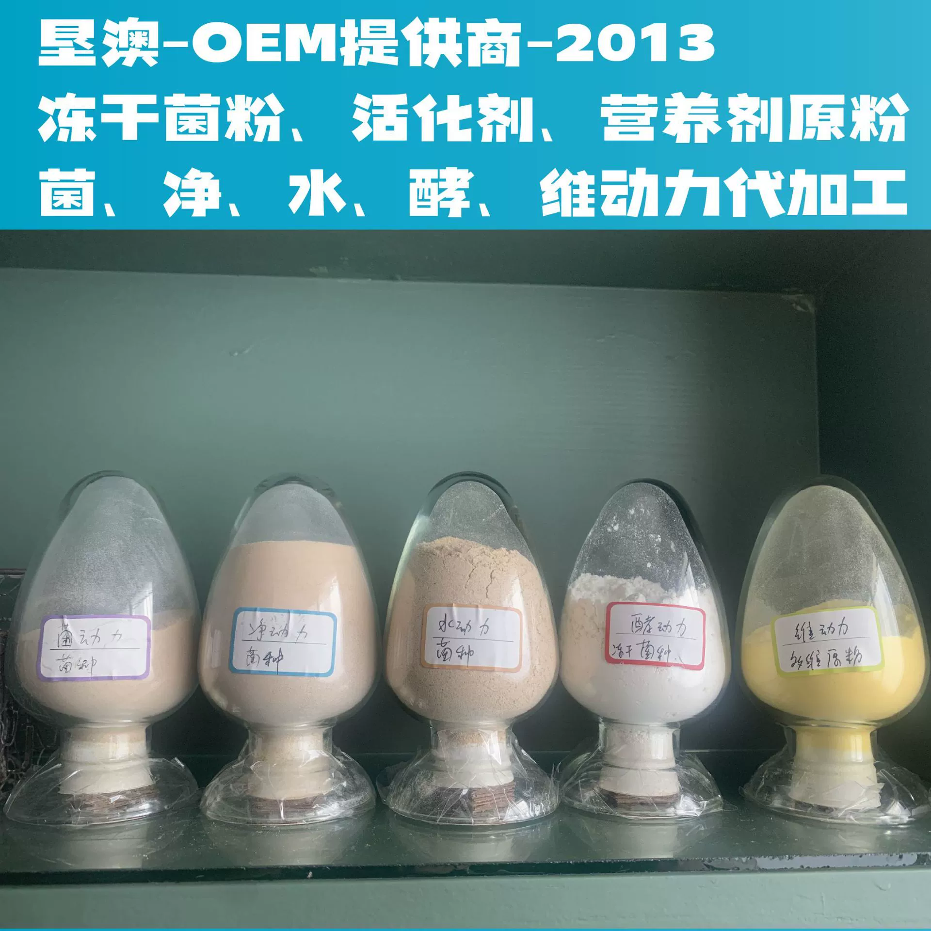 Ken'ao OEM лиофилизированный бактериальный порошок, активатор, питательный агент, оригинальный порошок, бактериальная ферментация для очистки воды, витаминная мощность, цена договорная