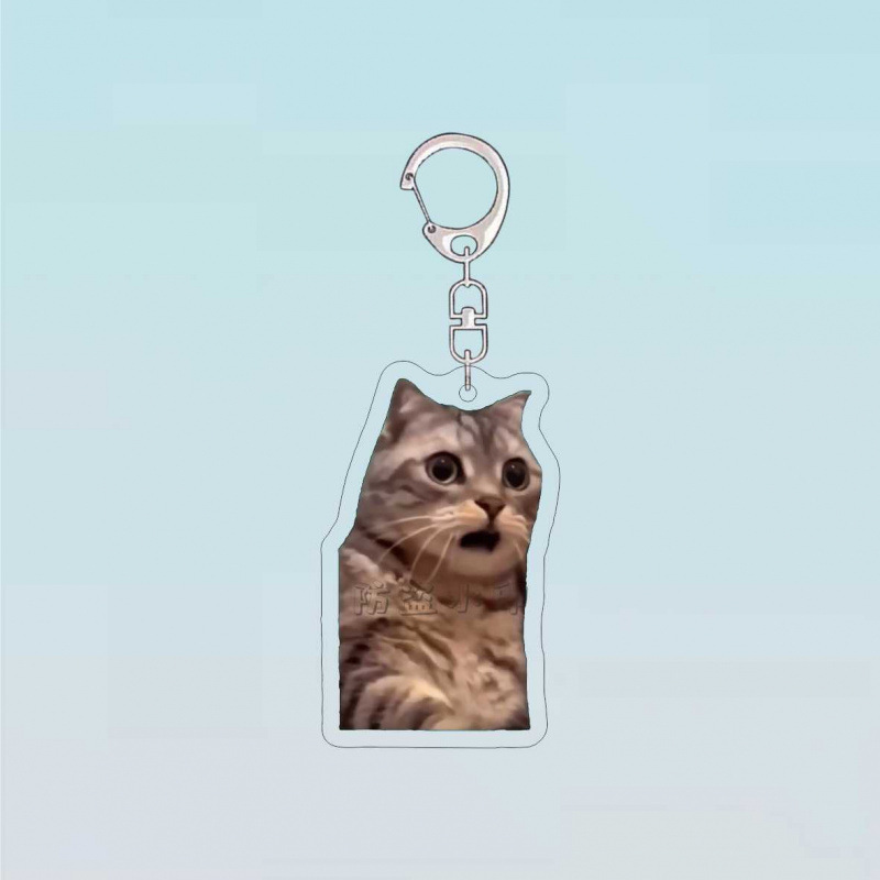 震え音爆火猫meme表情バッグのキーホルダーは抽象的なアクリルかばんのストラップを作って友達にプレゼントします|undefined