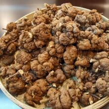 ���زع��� �S����� ���ɽ؛ ��Ȼ���