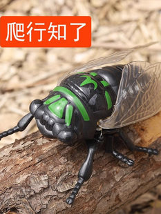 ��ͯ�l�l�������x��߄�����sģ���к���朗l����֪�����s