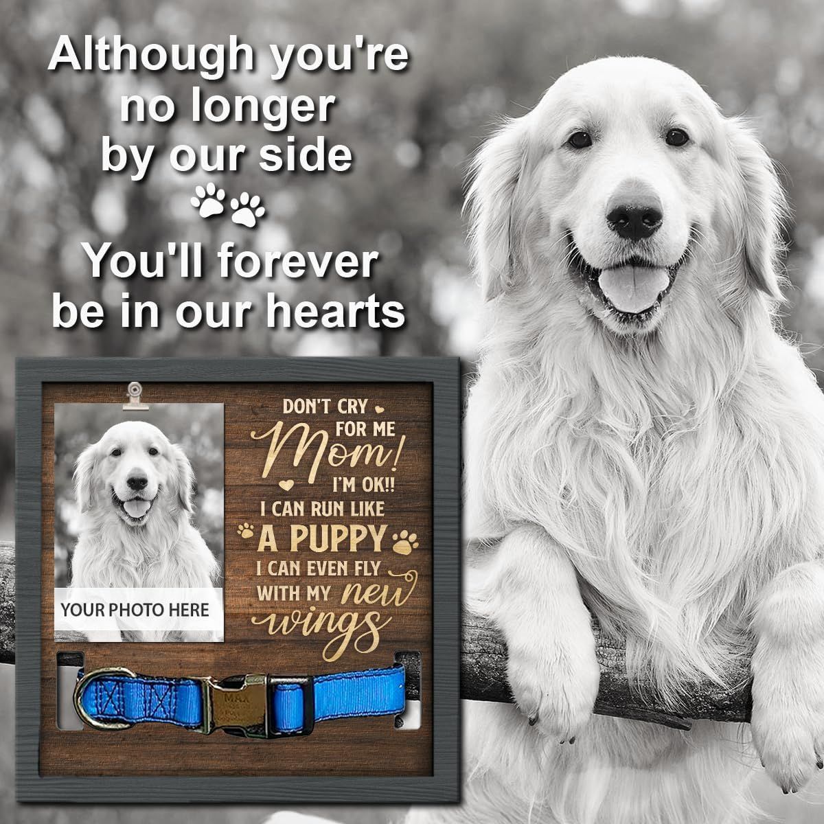 El marco de fotos conmemorativo para mascotas creativo de madera puede contener collar mesa tridimensional marco de fotos para mascotas mascota de madera perdida