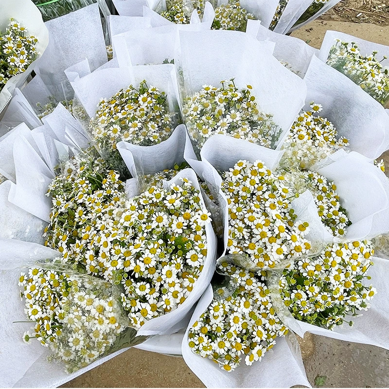 Цветы ромашка оптом Юньнань цветы Маленькая ромашка прямая партия свадебная композиция поставка цветочный магазин со свежими и настоящими цветами
