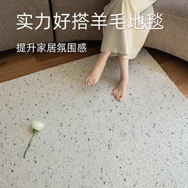 超软加厚羊毛地毯客厅奶油风中古混纺2025新款轻奢高级卧室大沙发