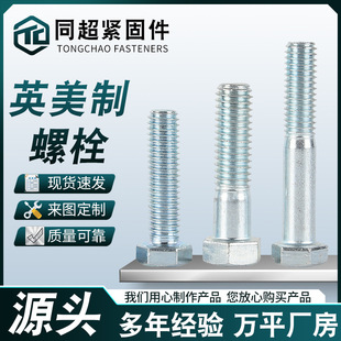 ��\2��5��Ӣ���������ݽz����������˨ȫ������Ӣ������������˨