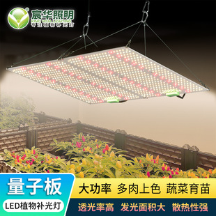 LEDȫ���V�Gֲ�����҃��{�����Ӱ�UV�a�������̫ꖹ�ֲ�����L��