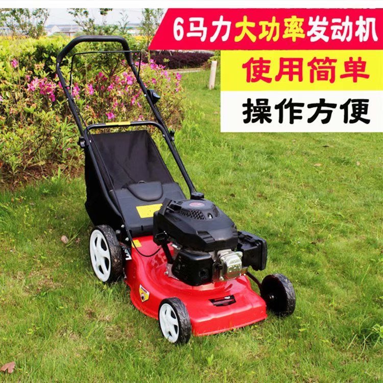 GX160汽油动力草坪机 手推自走式小型剪草机 汽油四冲程割草机