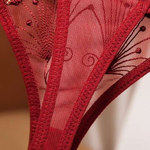 Japanese thong women's glossy aesthetic embroidery see-through temptation bikini girls underwear low waist ultra-thin 2251