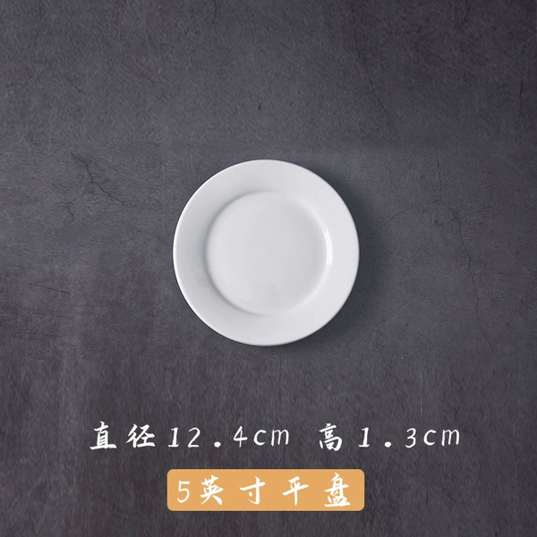 5 -inch flat disk