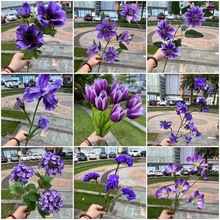 ����ɫ��c���滨���l �����������ϻ�Y��ܛ�b����·���bٻ�