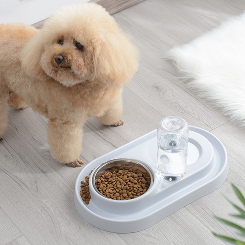 Elliptical Cat Bowl Dual Bowl Drinking Cat Food Dish Pet Dog Bowl Cat Automatic Water Not Wet Mouth Water Bowl Dog Plate