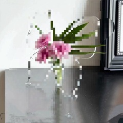 蝶の花瓶アクリル透明水耕フラワーアレンジメント水栽培緑植物装飾品リビングルームデスクトップ玄関ライト高級ハイエンド
