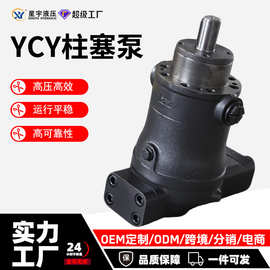 星宇YCY14-1B高压液压油泵 轴向柱塞泵（10-400mL/r）工业级批发