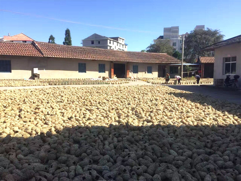 HTB1tpQ.PFXXXXcyXFXXq6xXFXXXv