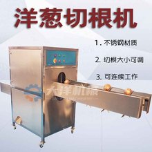 全自动洋葱切根机不锈钢材质切割尺寸可调大洋机械球葱切两头设备