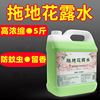 Mopping the floor Toilet water capacity hotel household Mosquito floor clean Odor Lasting hotel concentrate