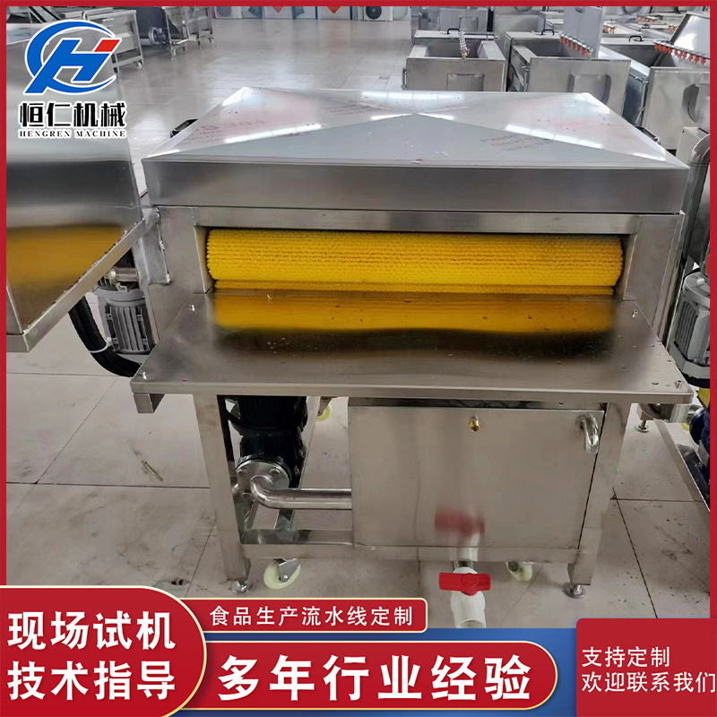 全自动粽叶清洗机粽叶双面喷淋洗叶机粽子加工专用设备粽叶毛刷机