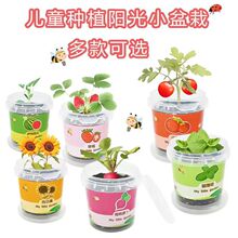 ��ͯ�NֲС����̫ꖻ����տ���ݮ���N����ֲ�����L�^���߲˷N��