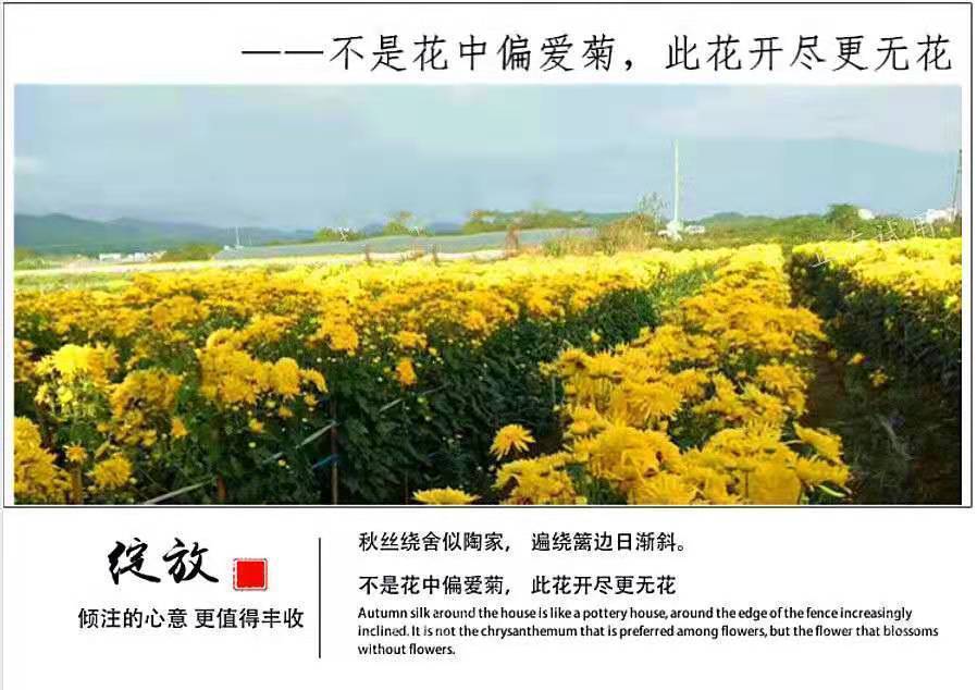 aef0c1fd-2f0a-45c5-8b40-12d81d69cda4.jpe