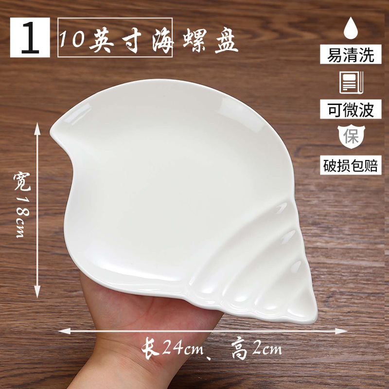 10 인치 소라 디스크