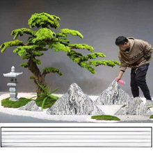 ѩʯƬM҃ɽˮ쾰ɽʯ^̩ɽͥԺ^ʯȻ[