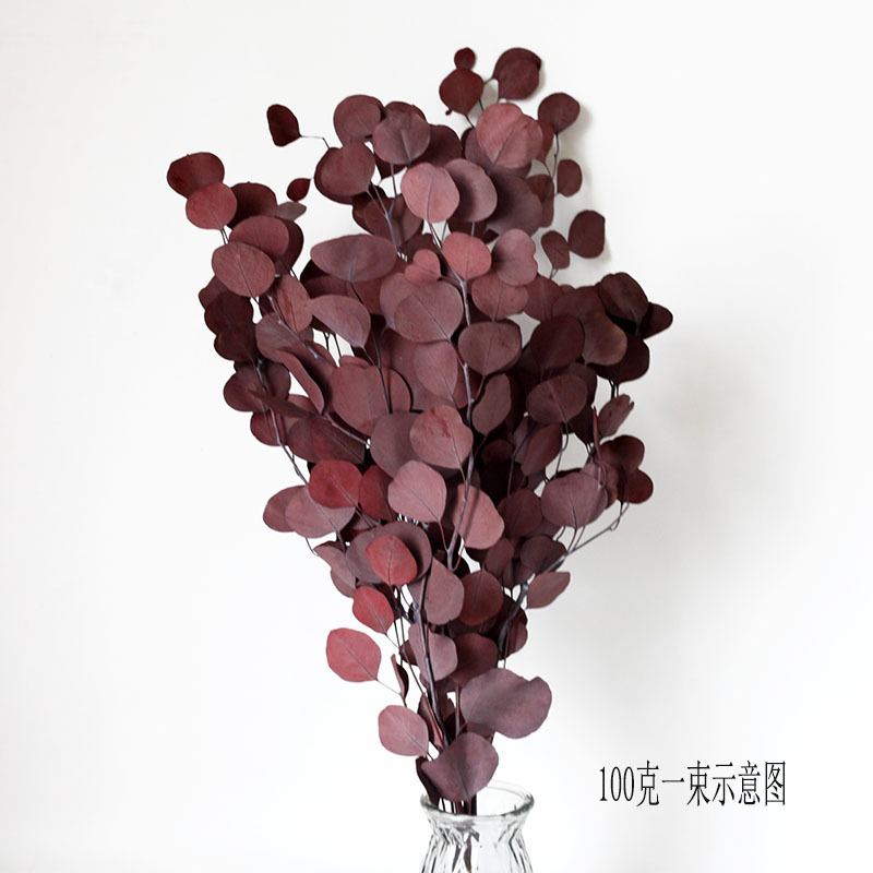 Hojas de manzana roja 100g/ramo