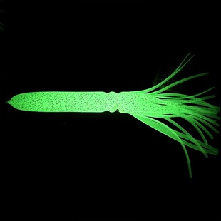 ҹ�����~ܛ�D������D������·���~�D���ܛ�~�D��~���