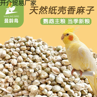 ���C�������B�Z������Ƥ���������W�^�Z��ϴ�С�w��������ʳ�Bʳ