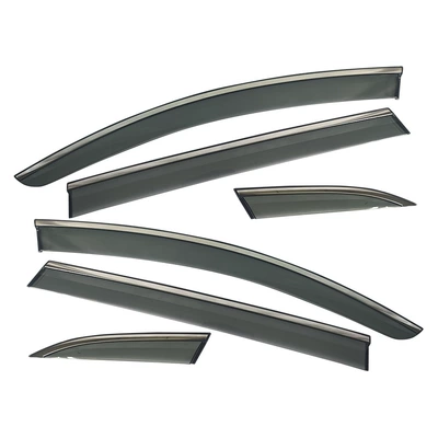 Rain shield Tang L 2025 car