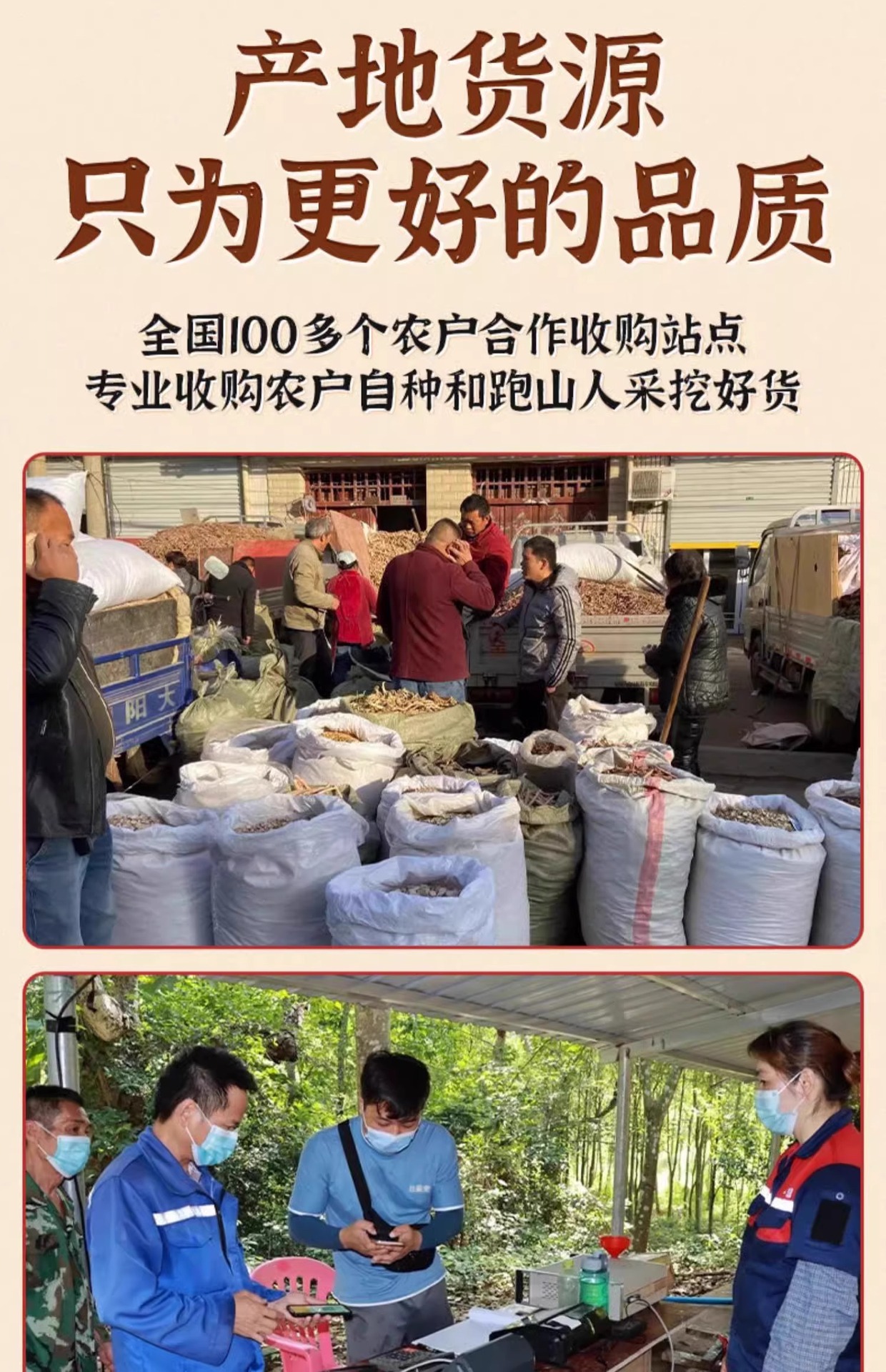 Hong Teng Red Vine Dried Herb 250g Canister Traditional TCM Botanical Ingredient specifications