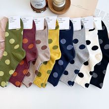 ʽ|cF؛nmINSLﶬͲmAcŮm